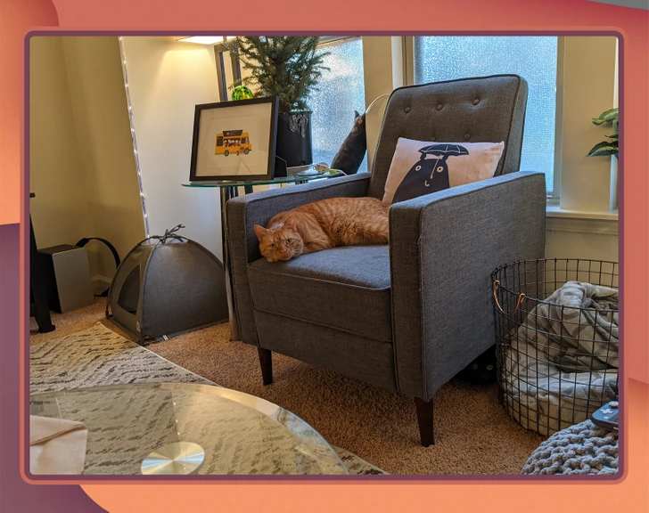 Where is the second cat?