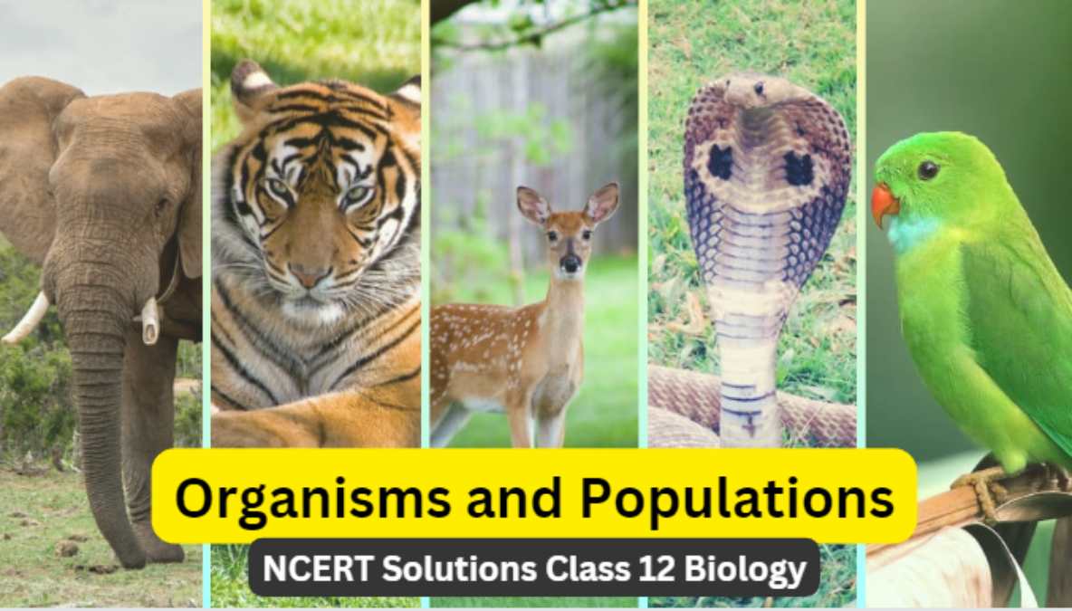 NCERT Solutions For Class 12 Chapter 11 Organisms And Populations ...