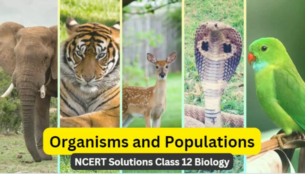 class 12 biology chapter 11 organisms and population ncert solutions