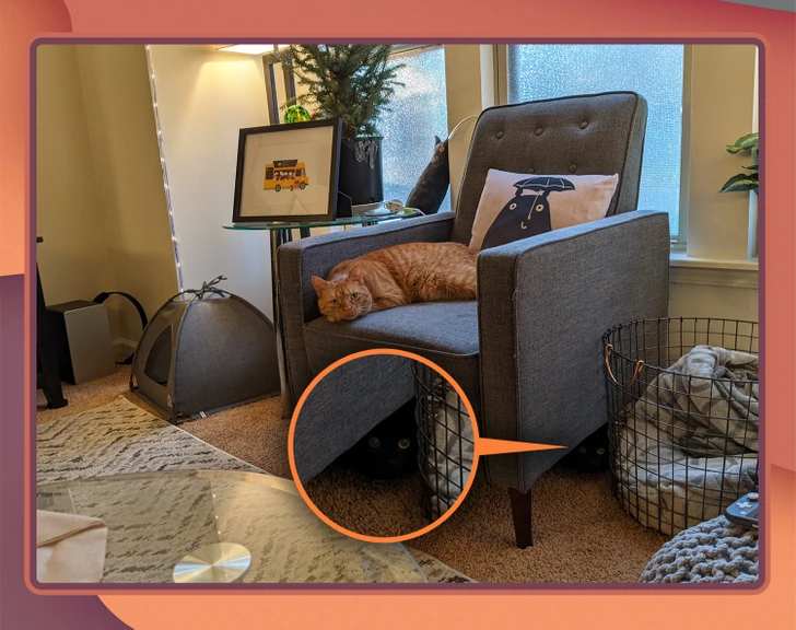 the second is hiding under the sofa chair.