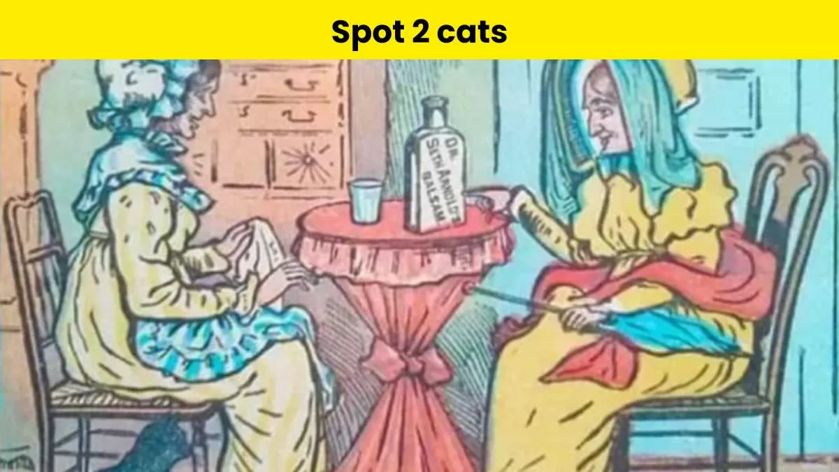 Can you spot the hidden cats in this optical illusion puzzle?                             
