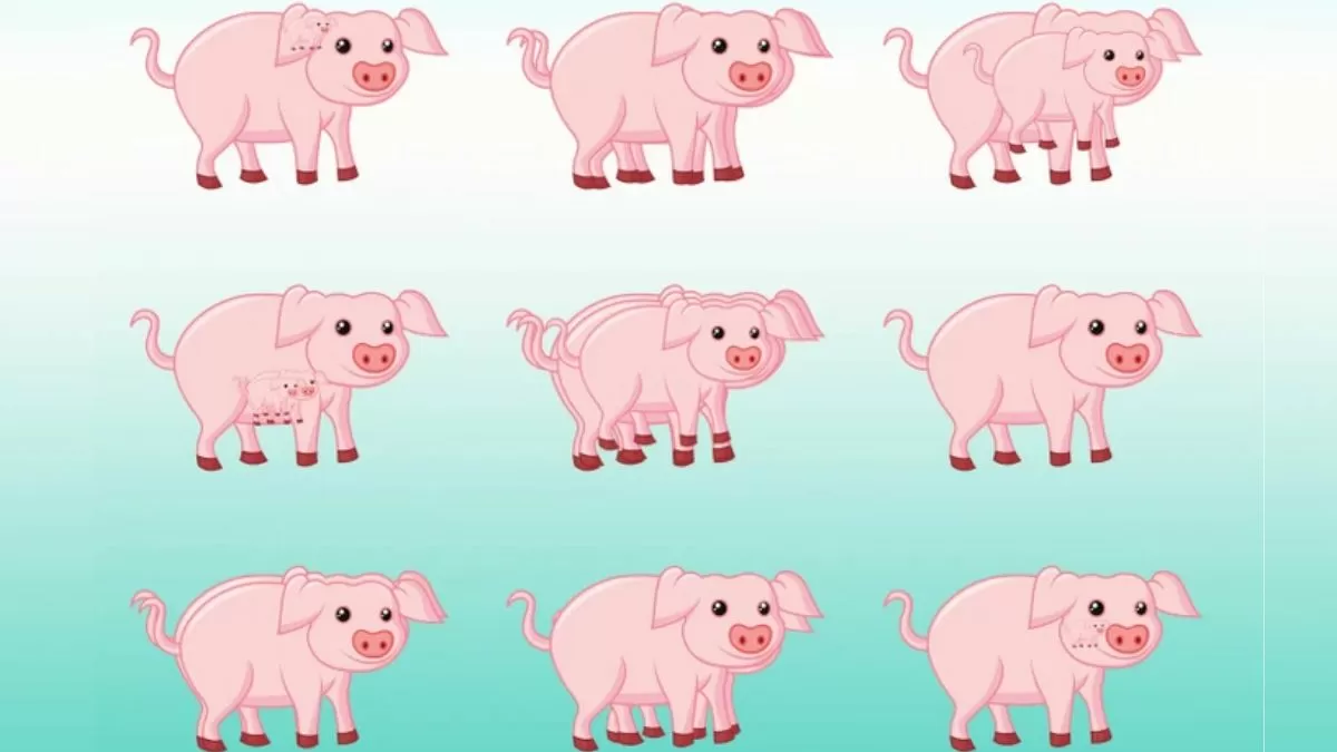 Brain Teaser to Test Your IQ