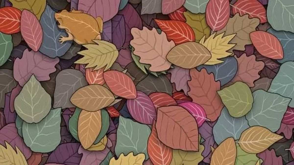 hidden animals optical illusions