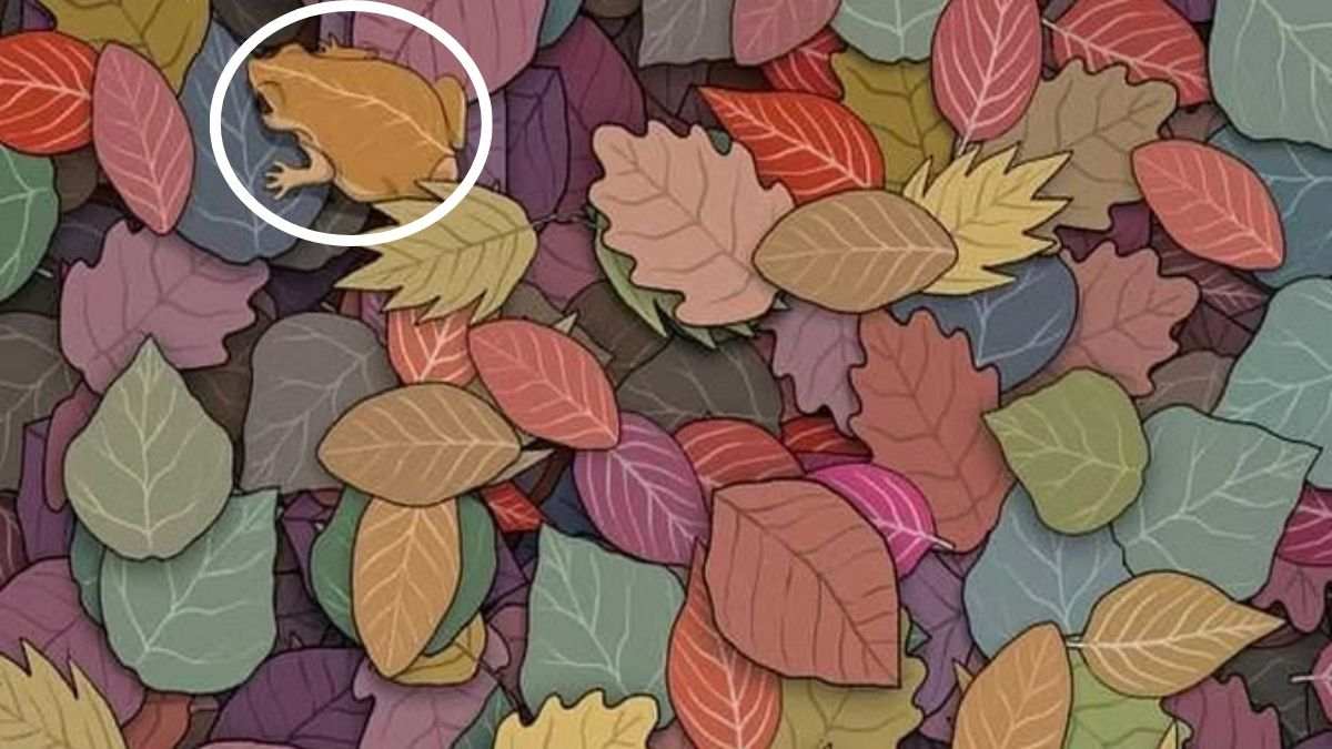 hidden optical illusions pictures with answers