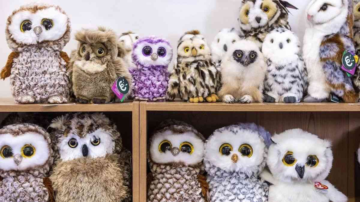 You Have 20/20 Vision If You Can Spot The Real Owl Within 8 Seconds!