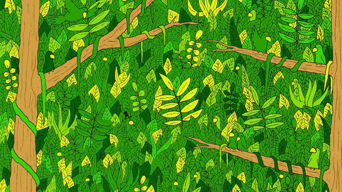 Picture Puzzle IQ Test: Can You Spot The Snake Hidden Within 6 Seconds?