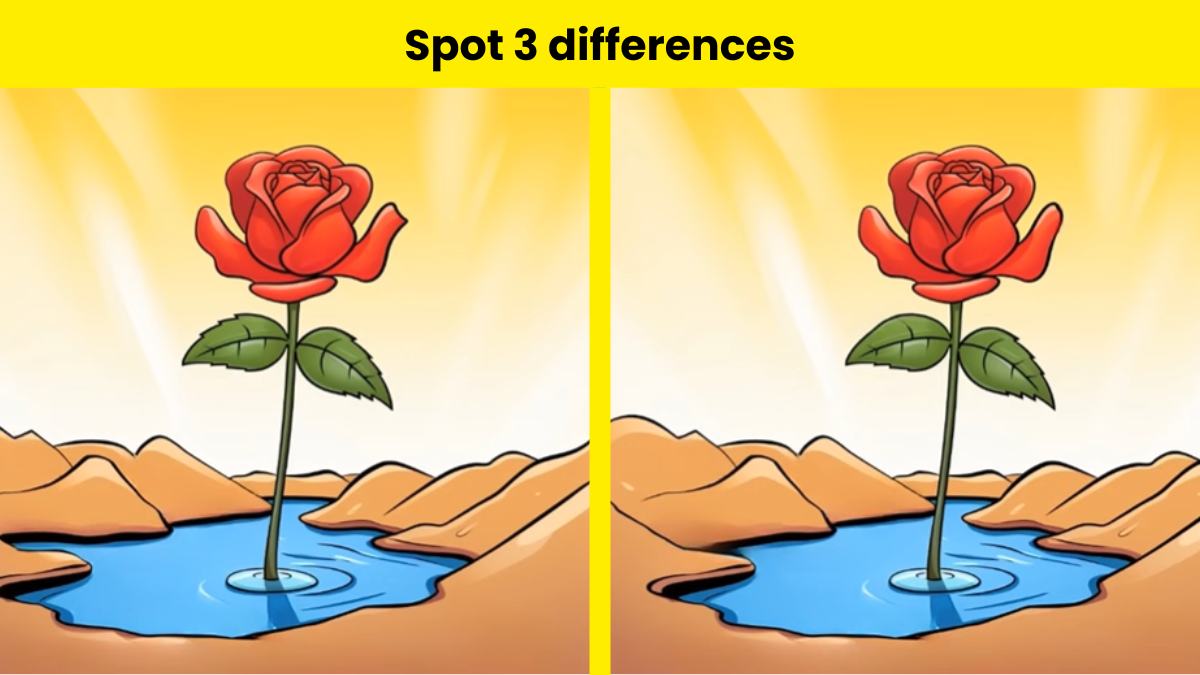 Are you a genius? Spot 3 differences in the rose picture within 9 seconds.