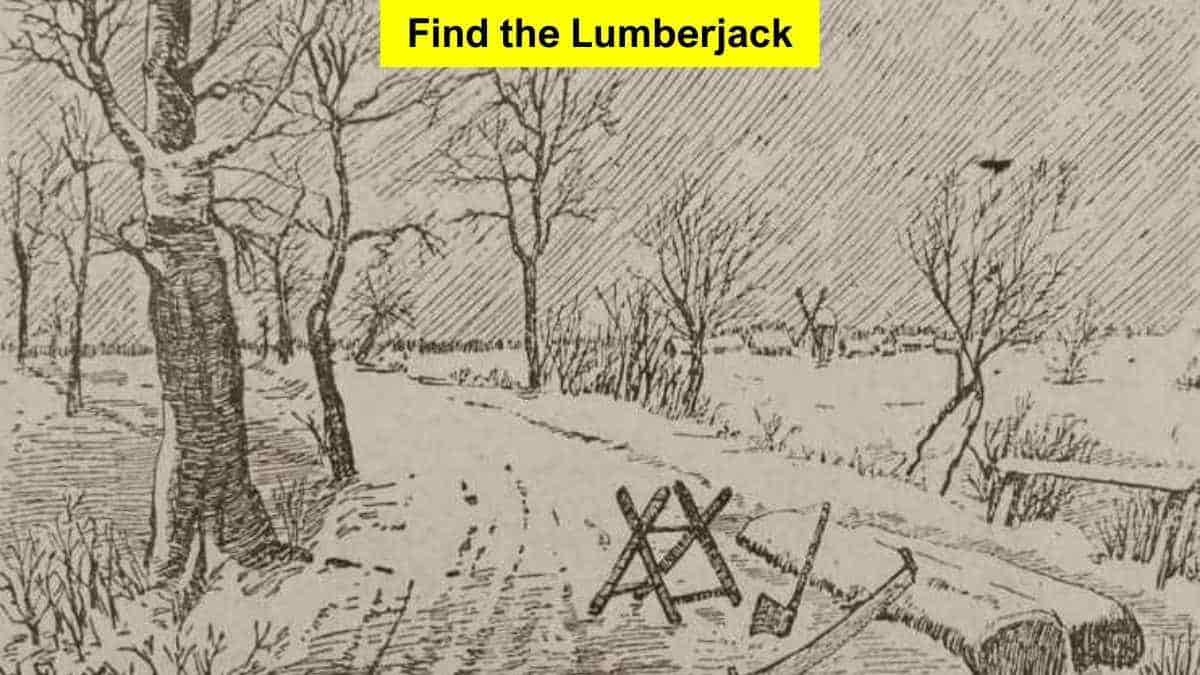 You have the IQ of Sherlock Holmes if you can spot the lumberjack in the forest in 6 seconds!