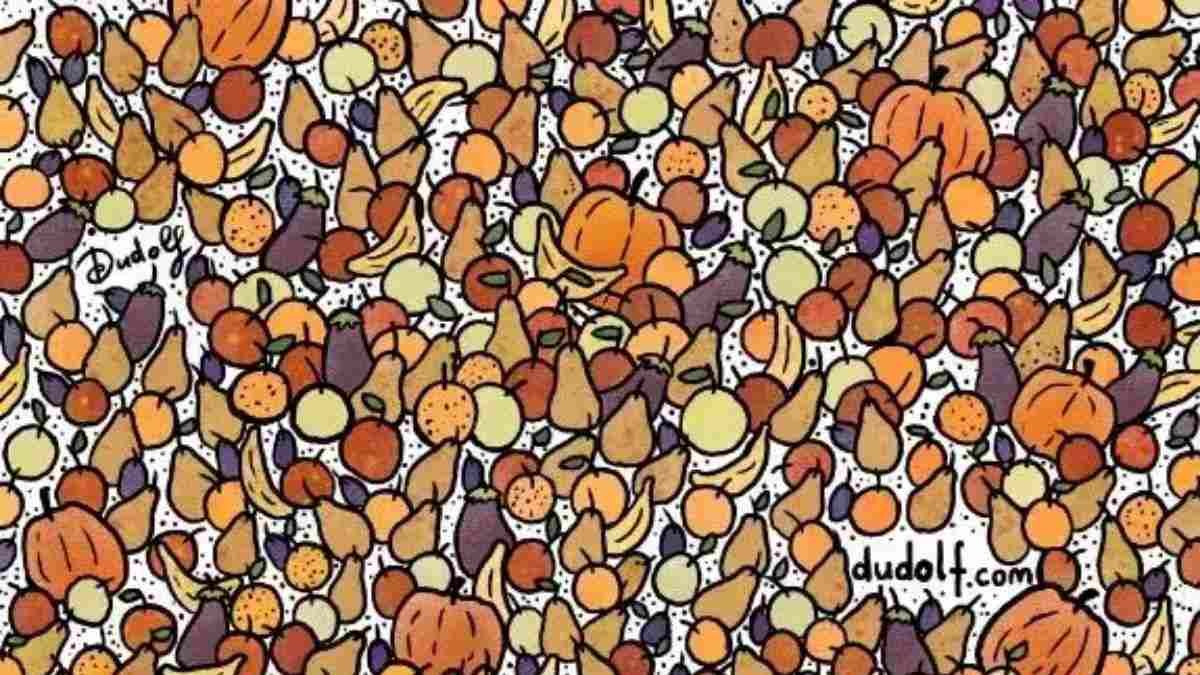 Find Three Birds Hidden Within 6 Seconds, Prove You Have The Sharpest Eyes!