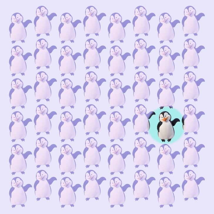 the odd penguin is here