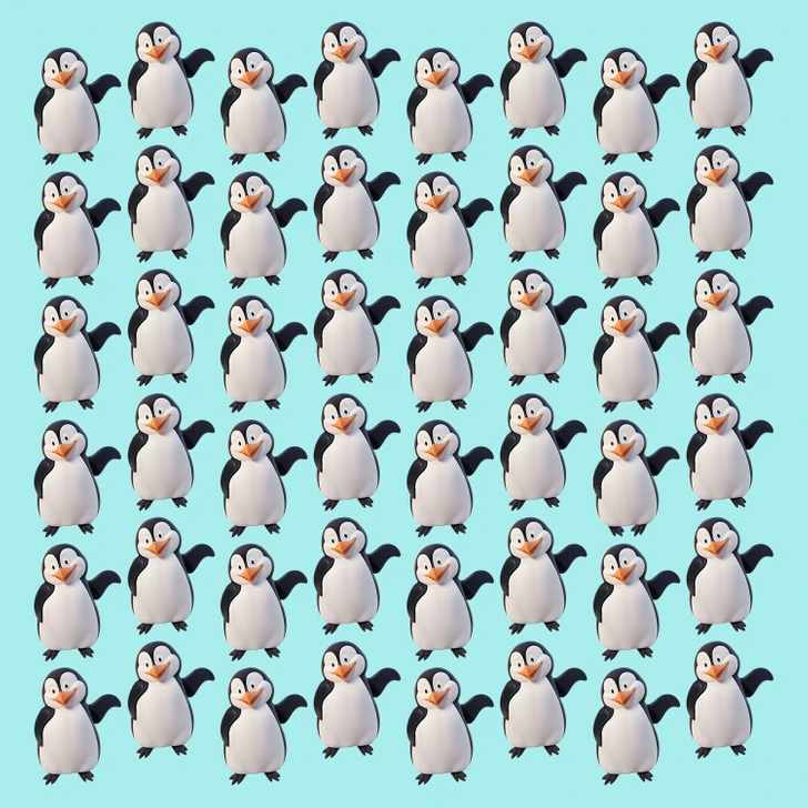 where is the penguin in the picture