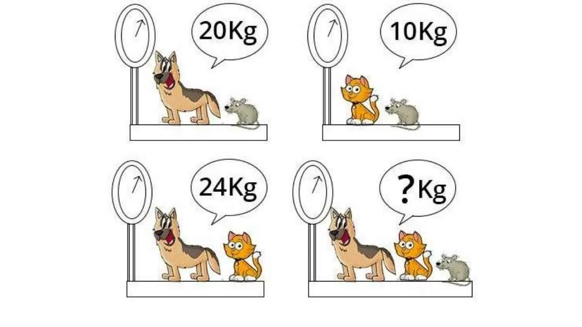 Genius IQ Test: Find the weight of all the animals in 11 seconds!