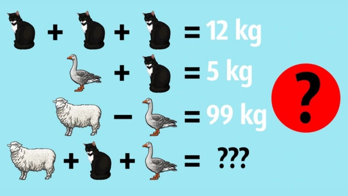 Puzzle to Test Your IQ: Can You Find the Weight of Sheep, Cat and Duck ...