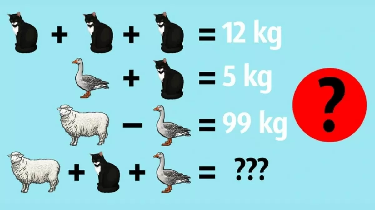 Puzzle to Test Your IQ