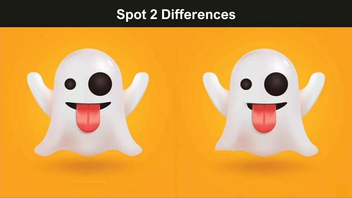 Spot 2 Differences