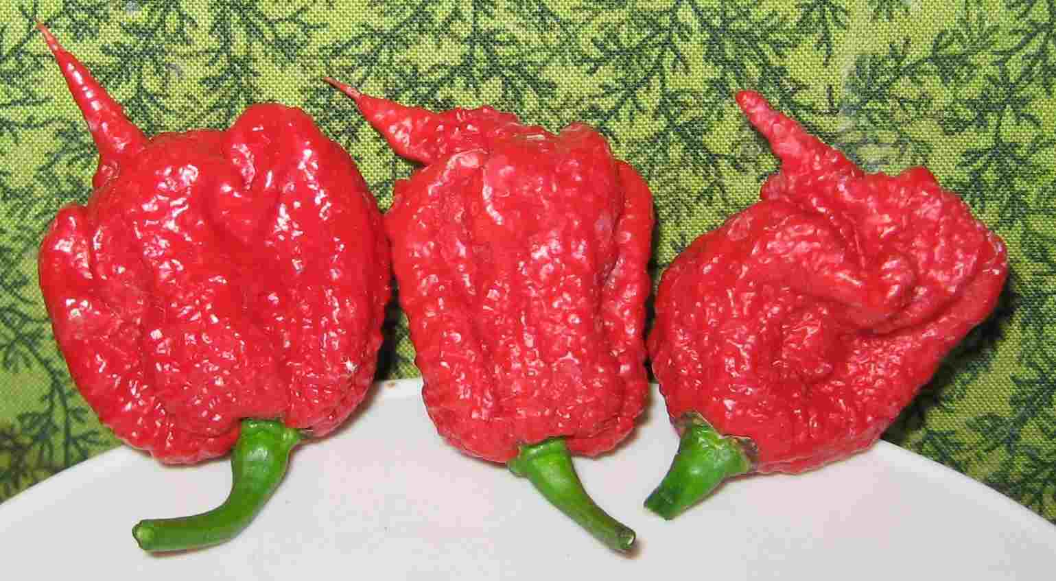 This a Carolina Reaper Pepper