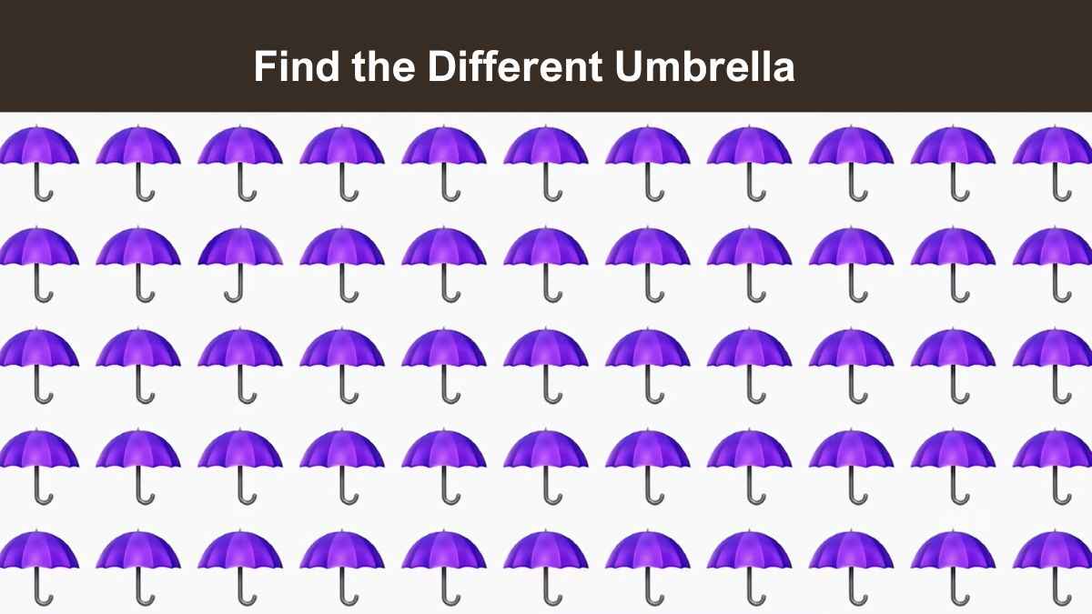 Only the most attentive eyes can spot the different umbrella in the picture in 5 seconds!