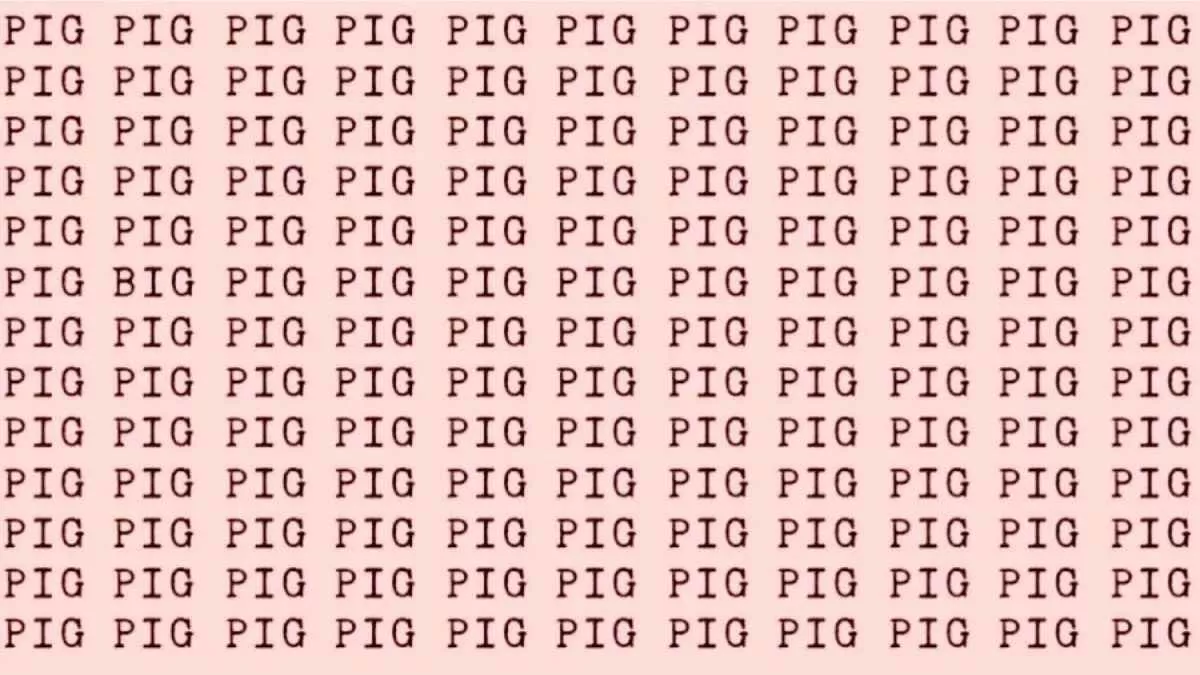 Find the Word Big