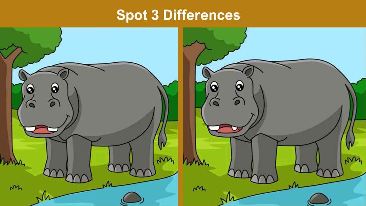 Only the sharpest pair of eyes can spot 3 differences between the hippo pictures in 9 seconds!