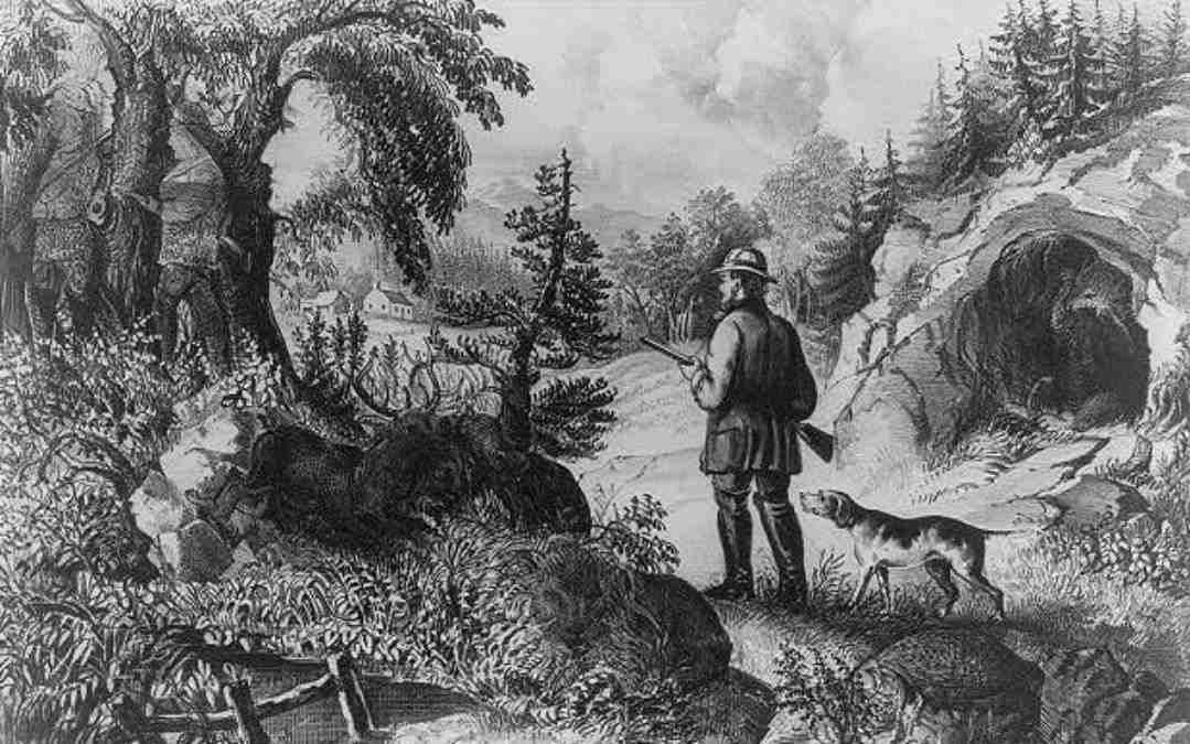 optical illusion pictures with hidden images