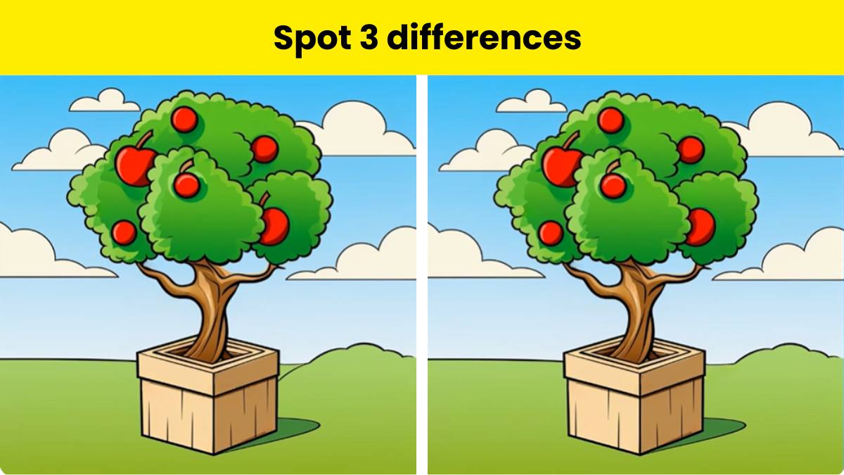 Only the eagle-eyed can spot 3 differences in the apple tree picture within 8 seconds. 
