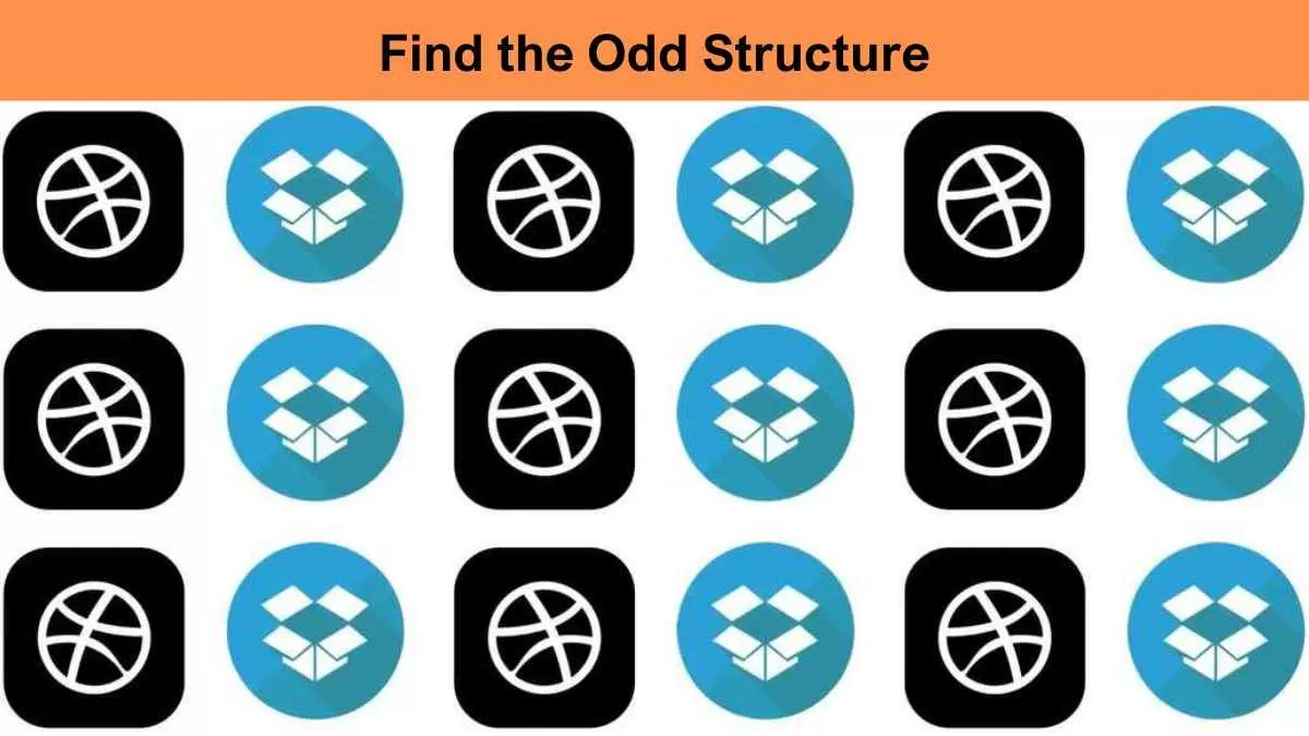 Find the Odd Structure