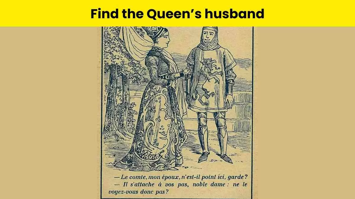 Can you find the Queen's Husband in this optical illusion?                                                     