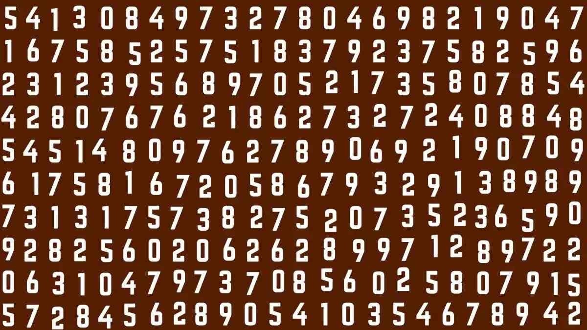 You Have 20/20 Vision If You Can Spot The Number 852 Within 8 Seconds!