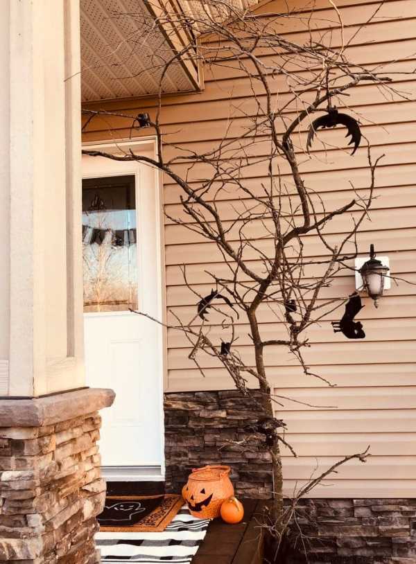 Halloween Decoration Ideas 2023