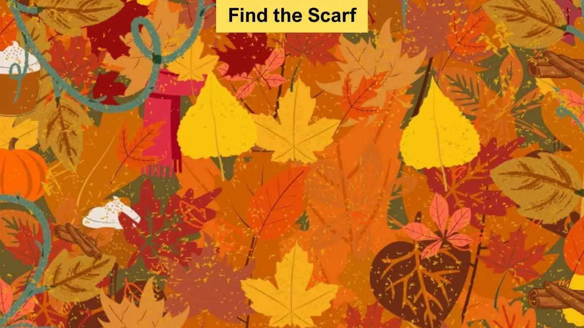 Find Hidden Scarf
