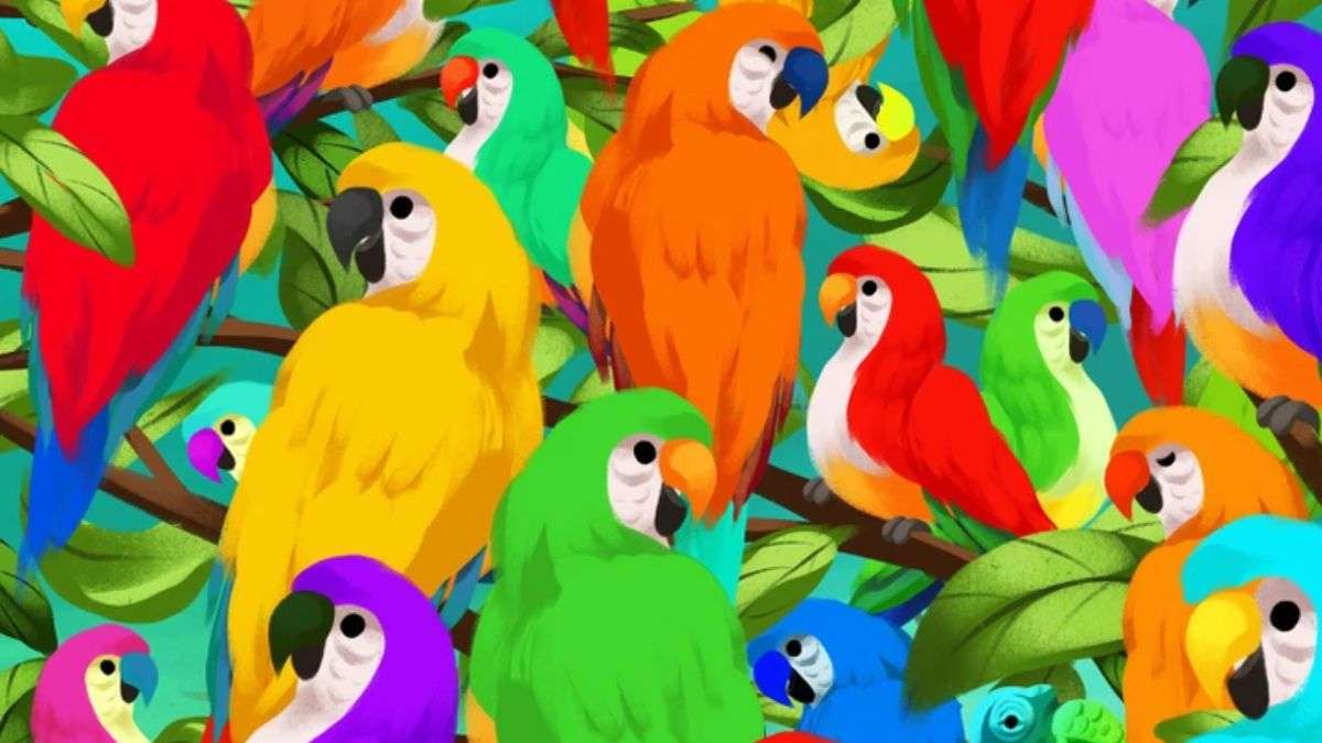Optical Illusion to Test Your IQ: Only 5% Can Spot the Chameleon Hidden Among Parrots In Picture Within 9 secs!