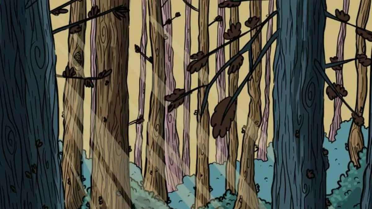 optical illusion for kids