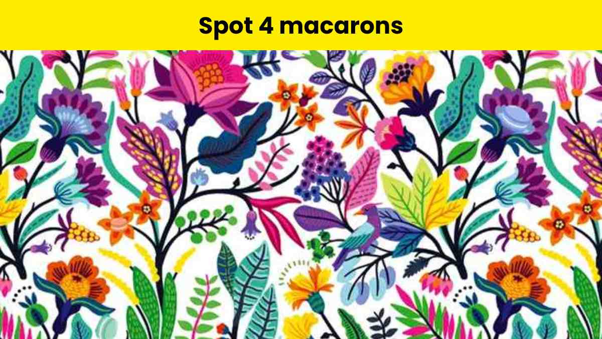 Brain Teaser Visual Test: Then spot 4 macarons hidden in the flower arrangement within 6 seconds. 