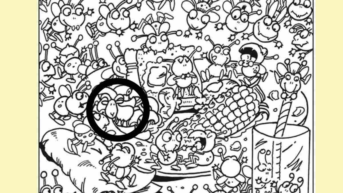 the hidden goat is here in the picture