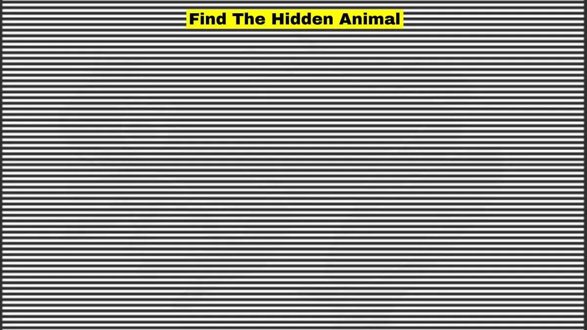 Hard Optical Illusion Challenge! Can You Find The Hidden Animal In 8 ...