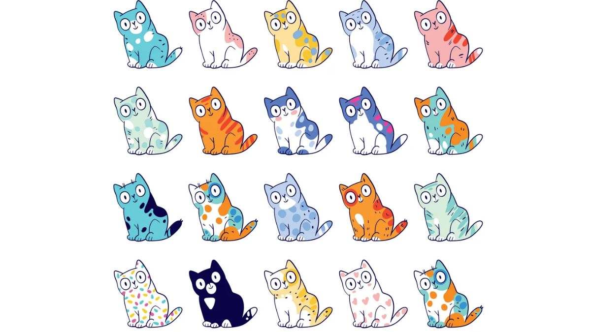 Only 1% Highly Observant Can Spot 2 Identical Cats Within 8 Seconds!