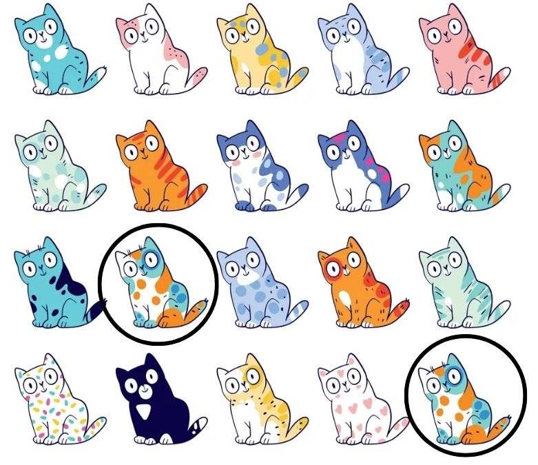 find two identical images picture puzzles with answers