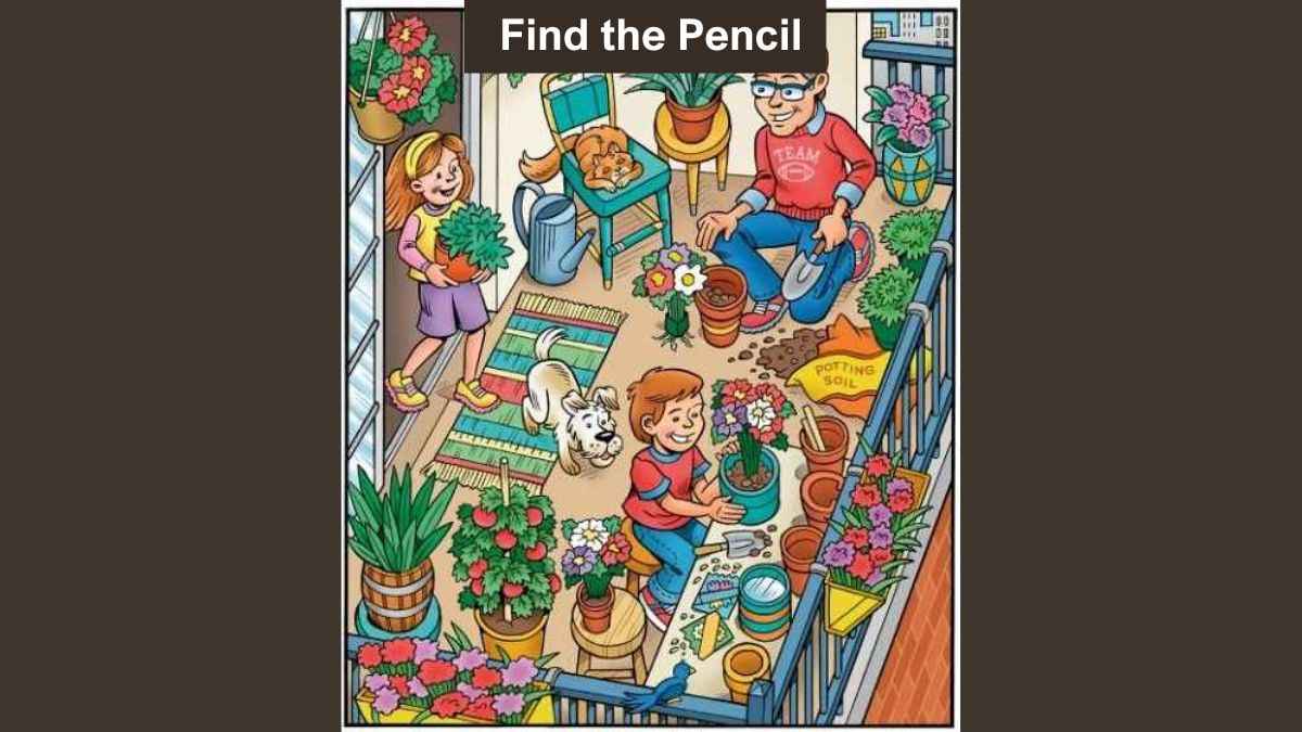 How to deals find a pencil