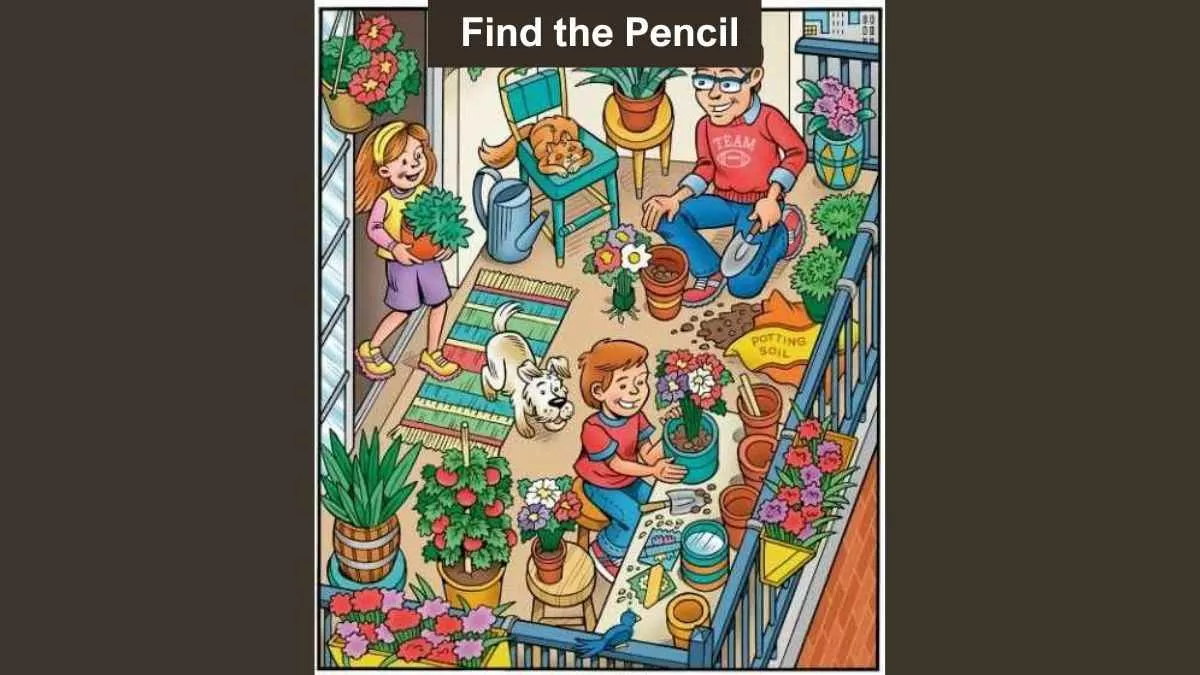 Find Pencil in 6 Seconds