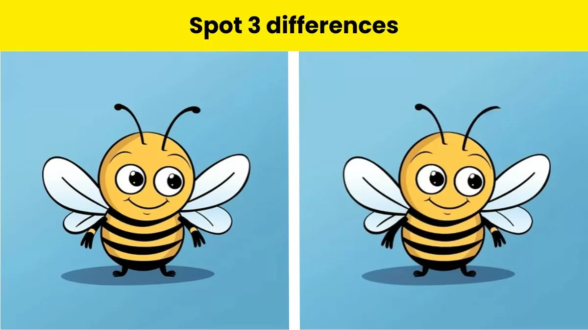Only people with great eyes can spot 3 differences in the bee