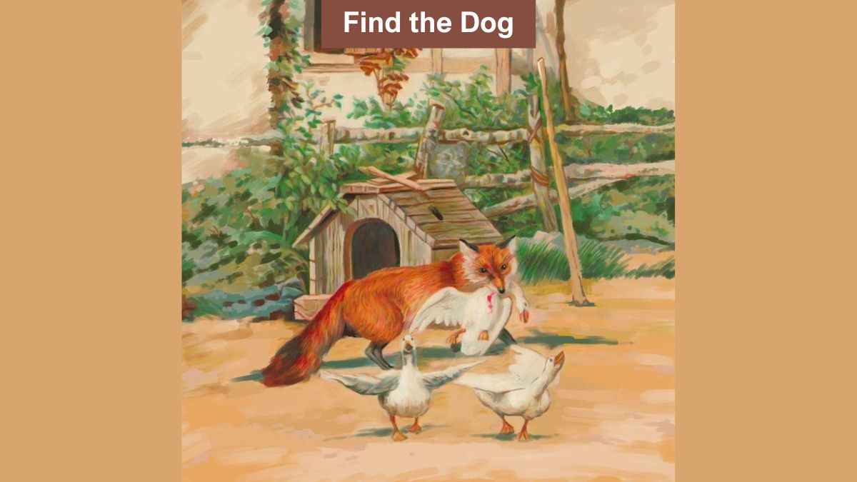 You have 20/20 vision if you can find the hidden dog in the image in 7 seconds!