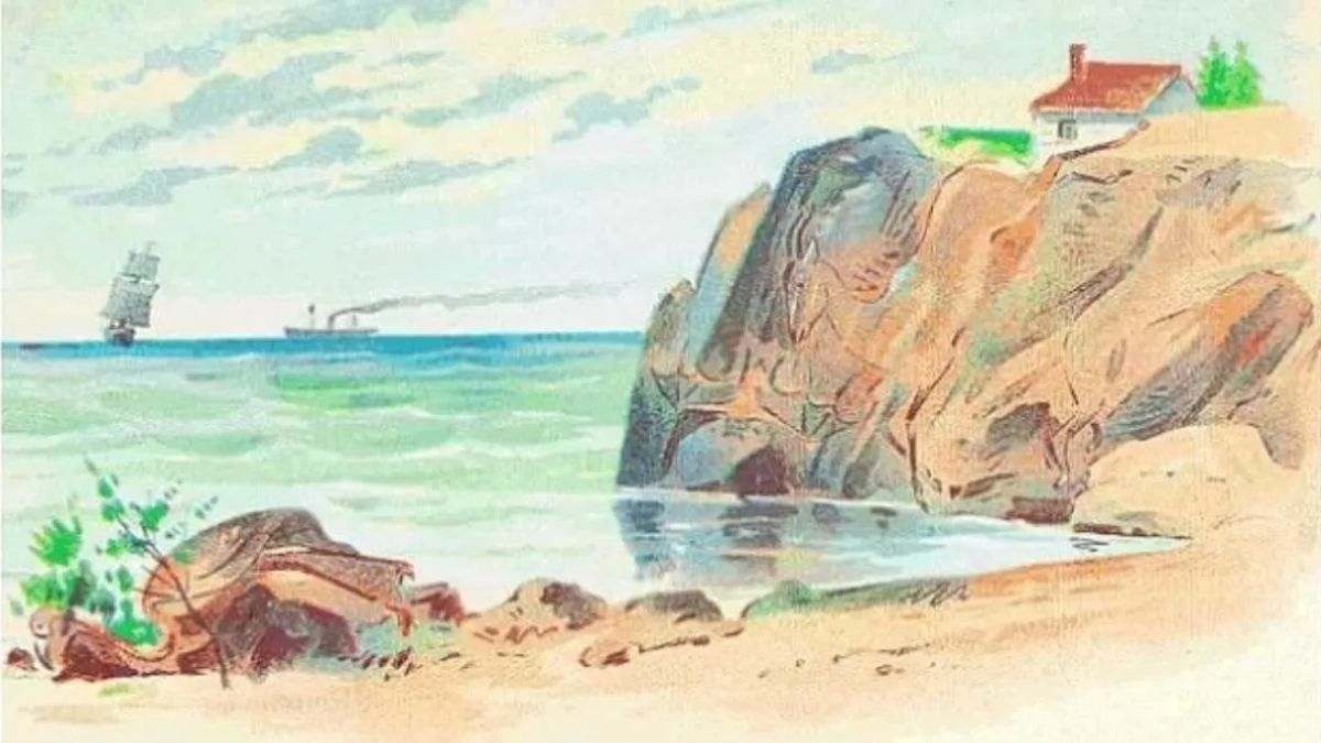 hidden animals optical illusions