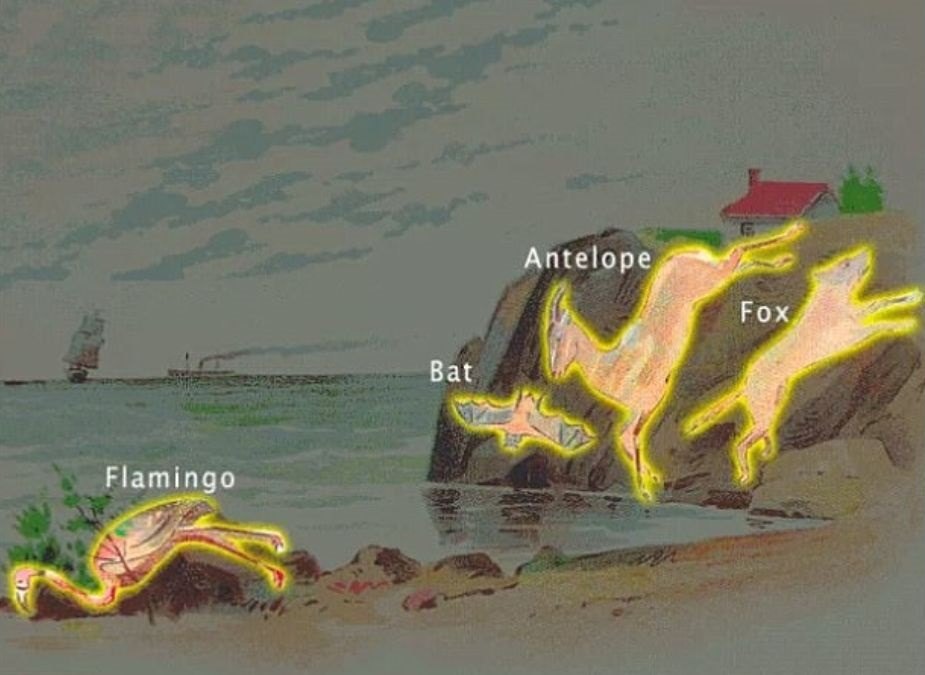 optical illusion with answers