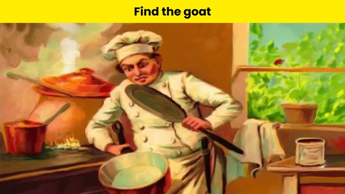 Can you find the goat here?                      