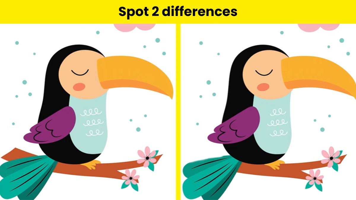 Can you spot 2 differences between the toucan picture within 6 seconds?