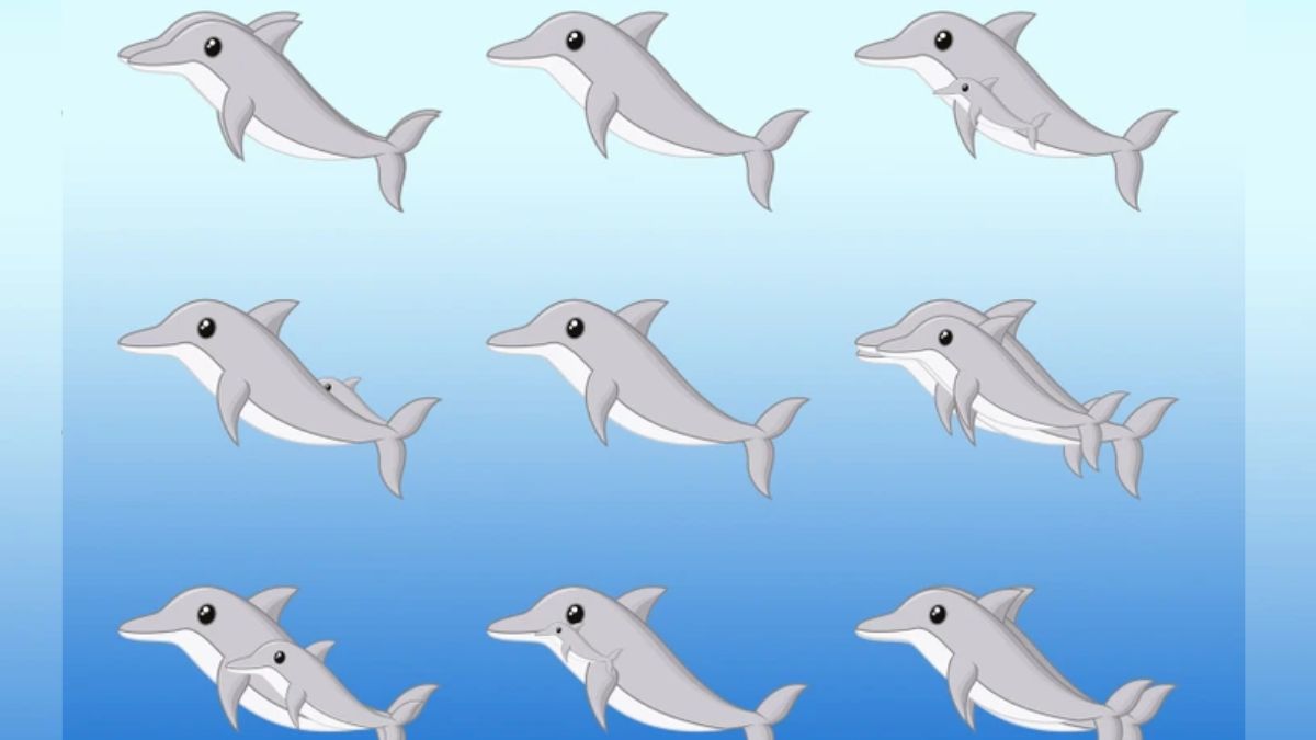 Brain Teaser to Test Your IQ: How Many Dolphins Can You Spot In the Picture Within 11 secs?