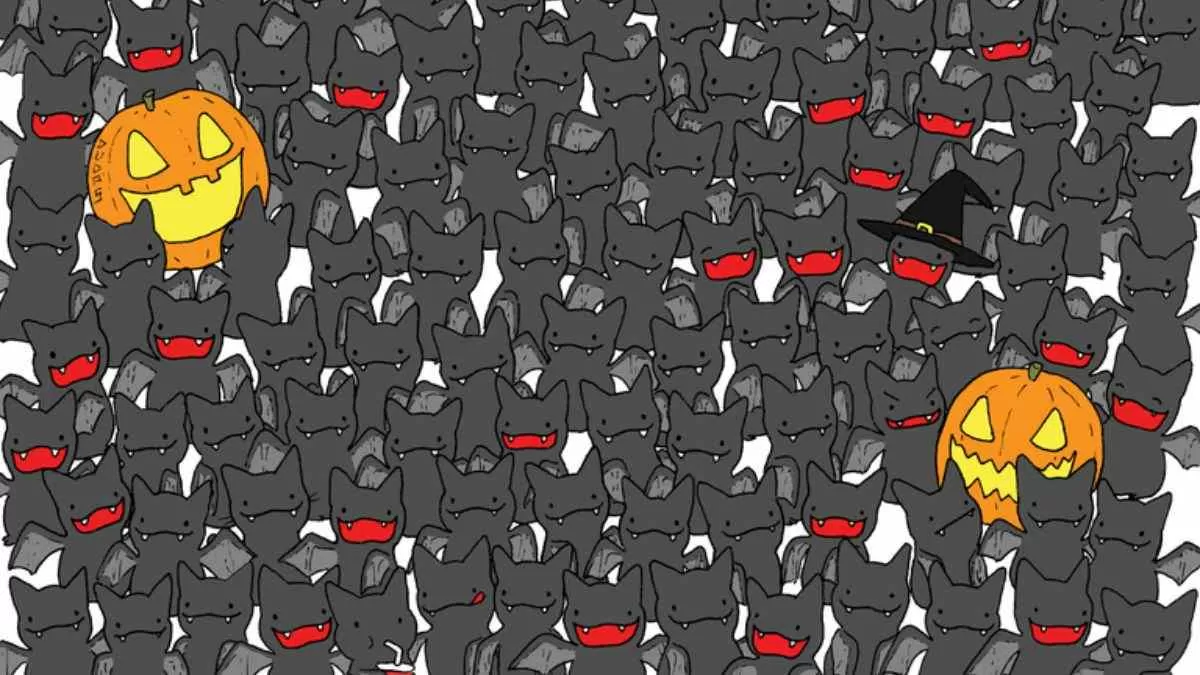 Optical Illusion to Test Your IQ