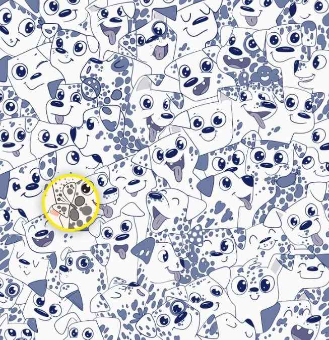 hidden optical illusions with answers