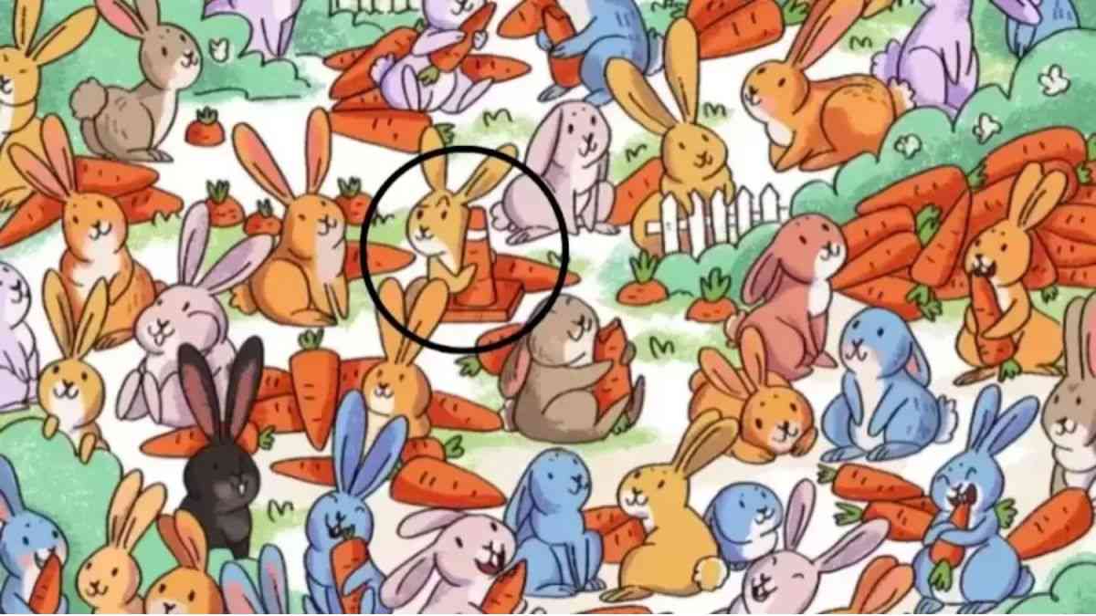 picture puzzles with answers