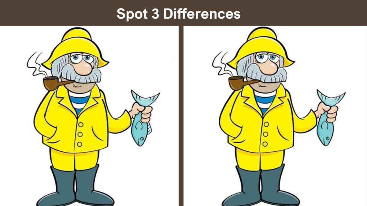 Spot 3 differences between the old man with fish pictures in 15 seconds!